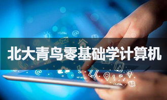 零基础入门软件开发 可能之路与学习指南