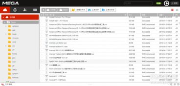 精选精品计算机软件概览 提升开发与办公效率的暗色设计工具集
